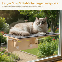 Pecute rotating suction cups demonstrate secure installation on a window