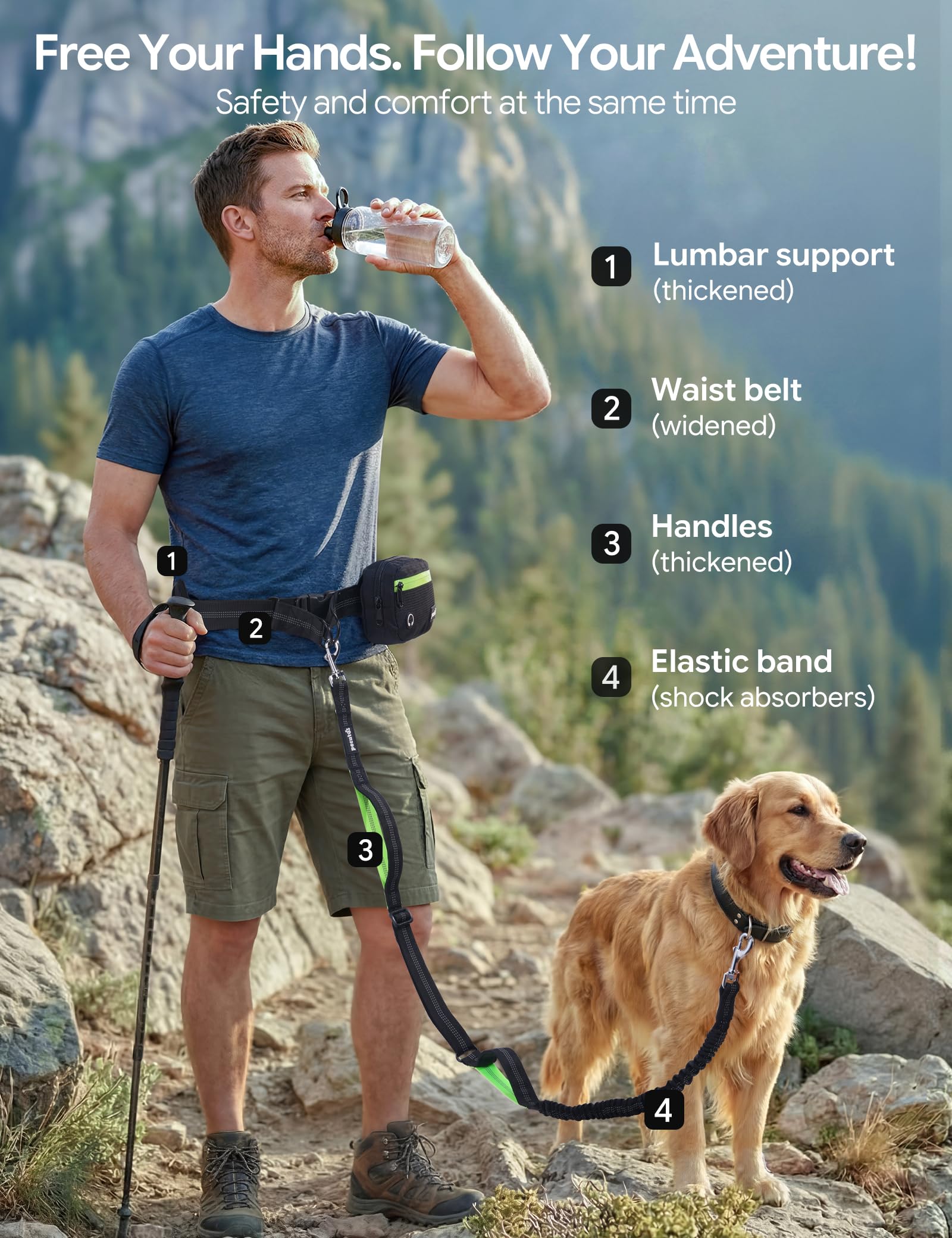 Pecute shock-absorbing bungee leash reduces sudden pulls during runs.