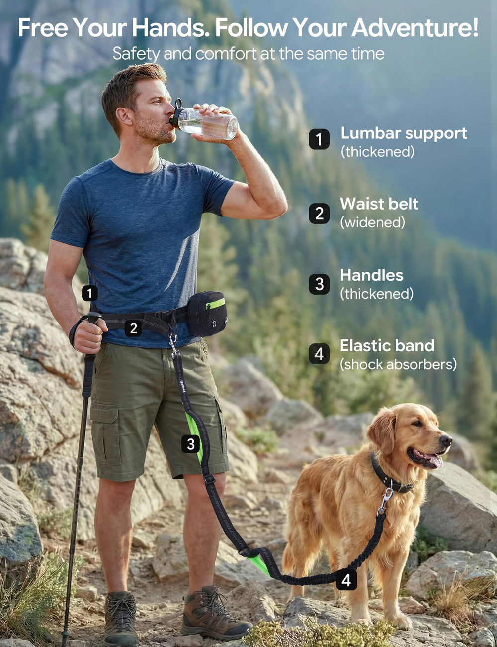 Pecute shock-absorbing bungee leash reduces sudden pulls during runs.