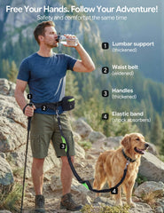 Pecute shock-absorbing bungee leash reduces sudden pulls during runs.