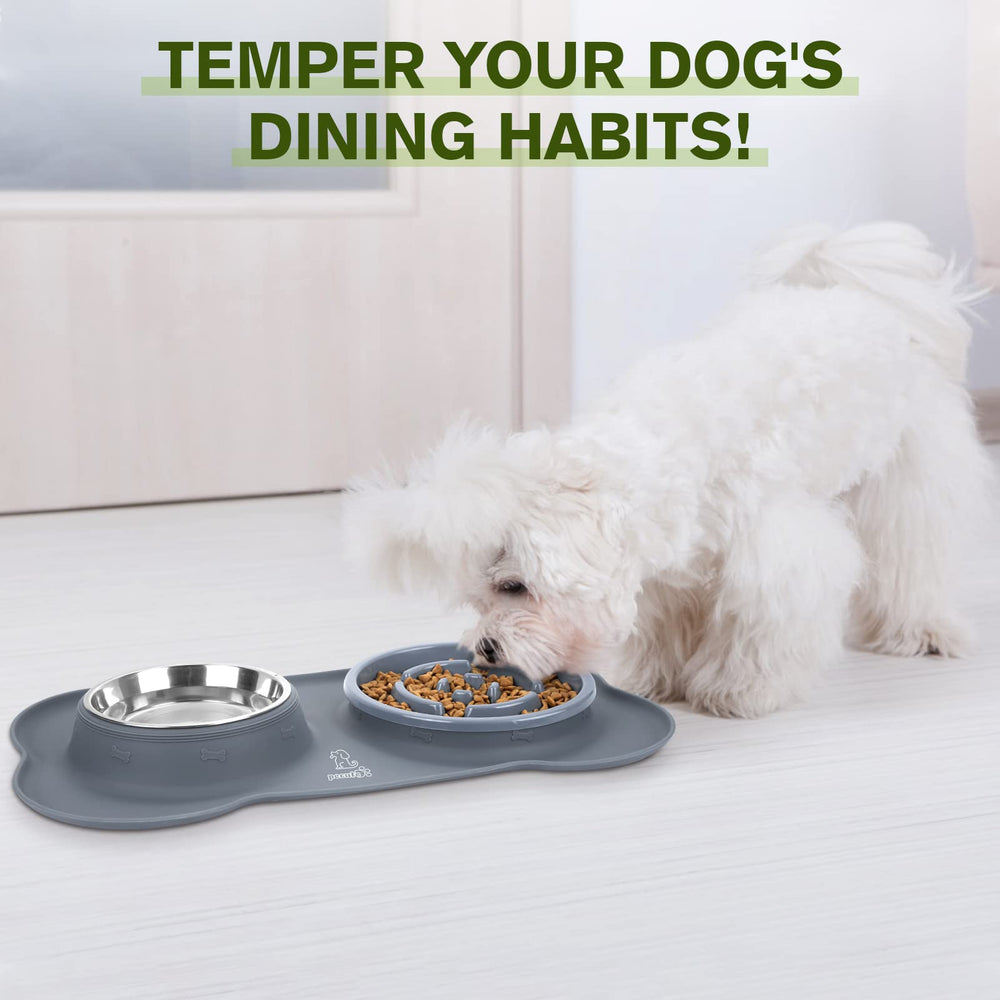 Pecute slow feeder bowl suitable for dogs and cats