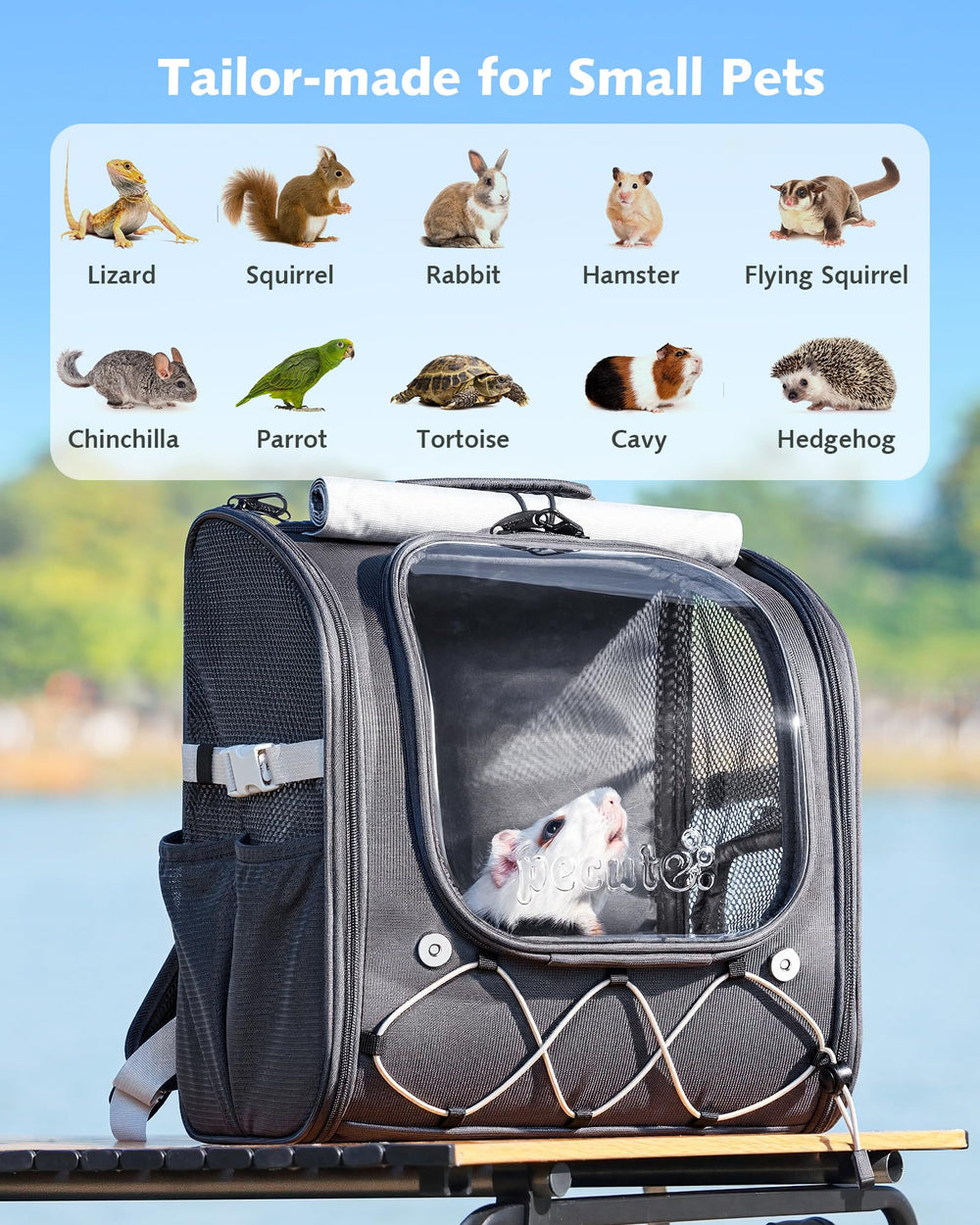 Pecute dimensions 32x22x36 cm suitable for small pets
