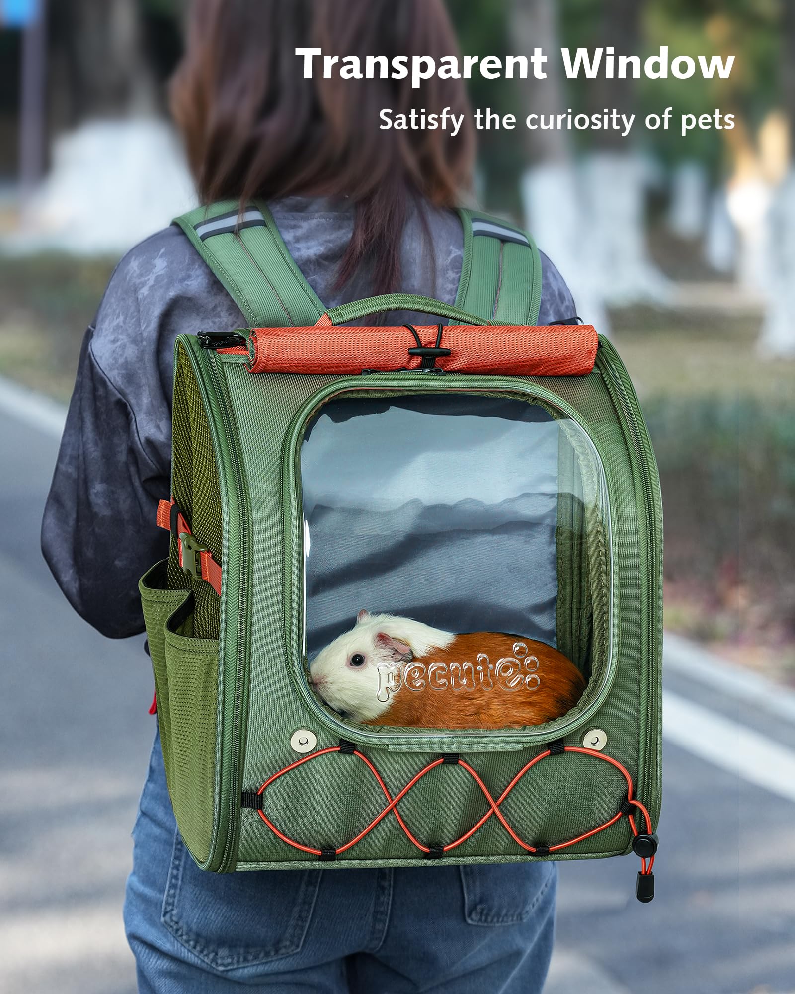 Pecute carrier showing steel frame to prevent collapse during outings.