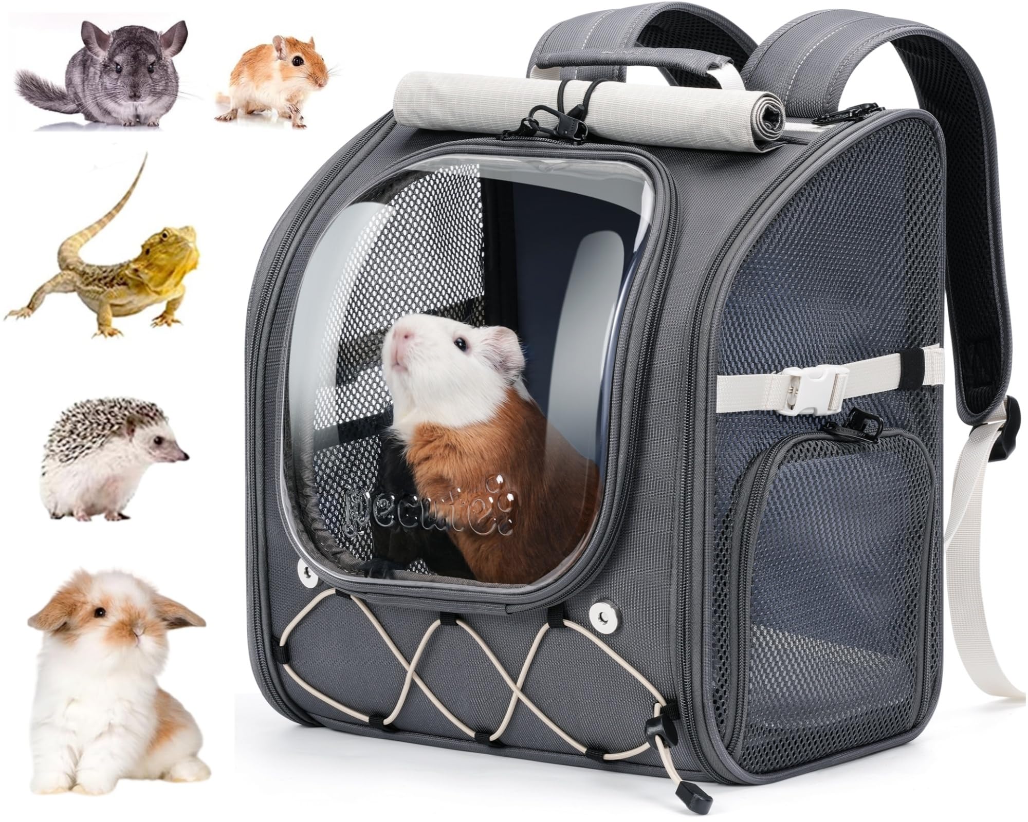 Pecute small pet carrier with transparent bubble window for interaction and comfort