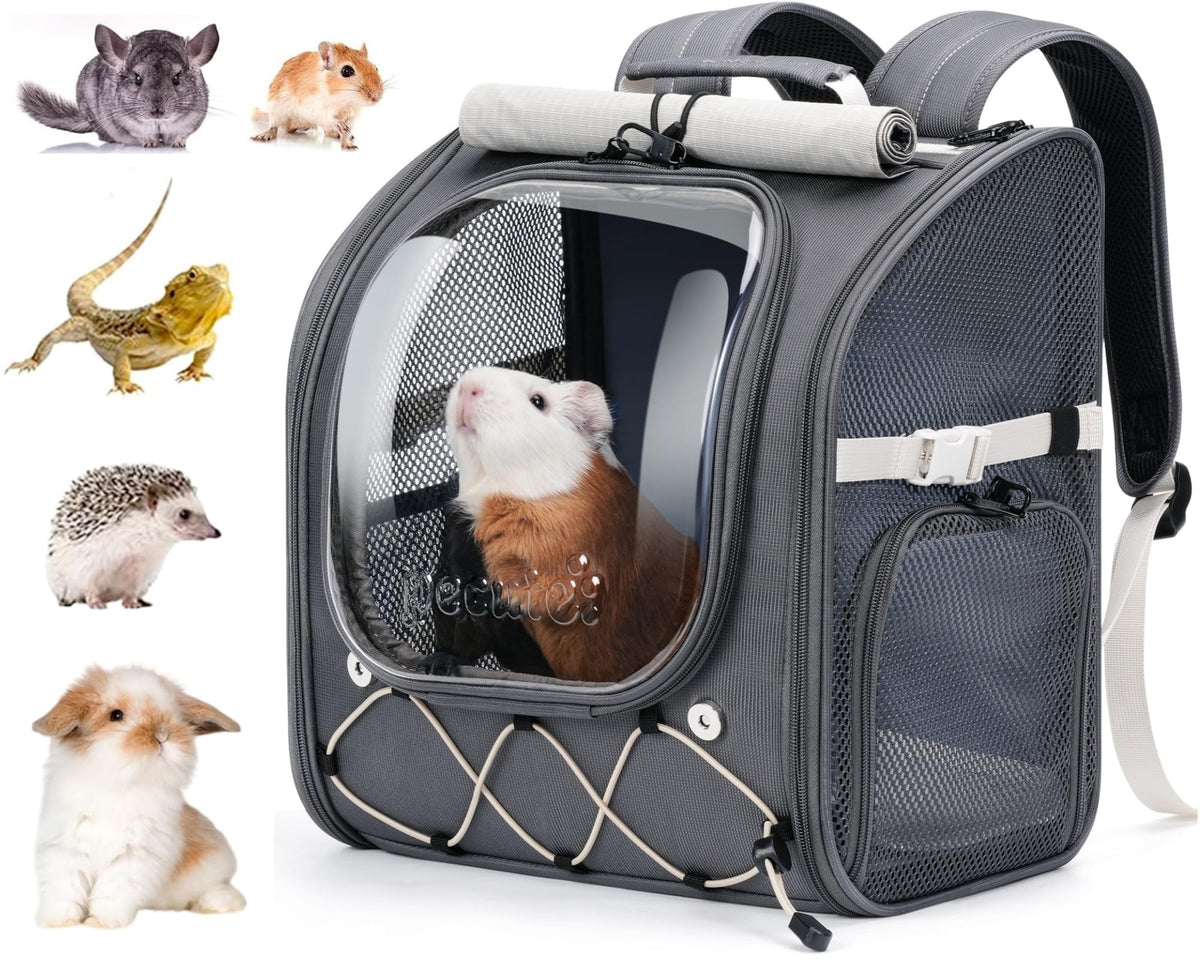 Pecute small pet carrier with transparent bubble window for interaction and comfort