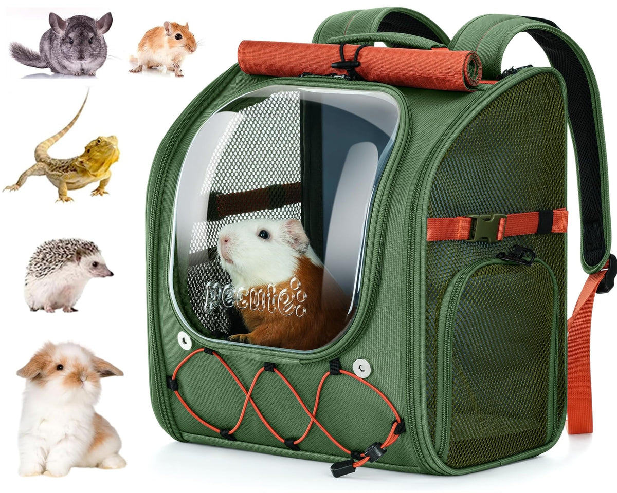 Pecute small pet carrier with transparent bubble for clear interaction and comfort.