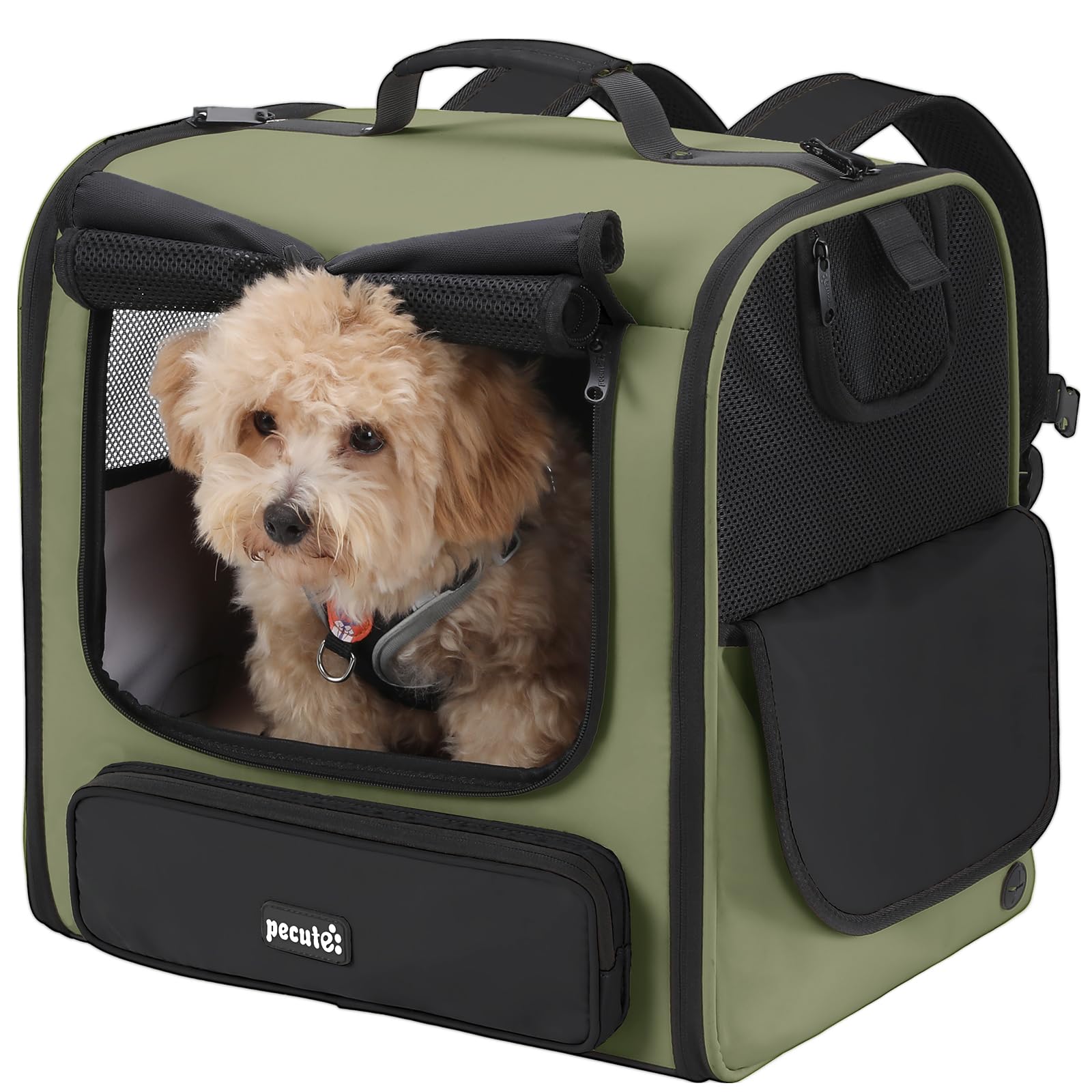 Pecute Spacious Cat Carrier interior space offers room for cats or small dogs.