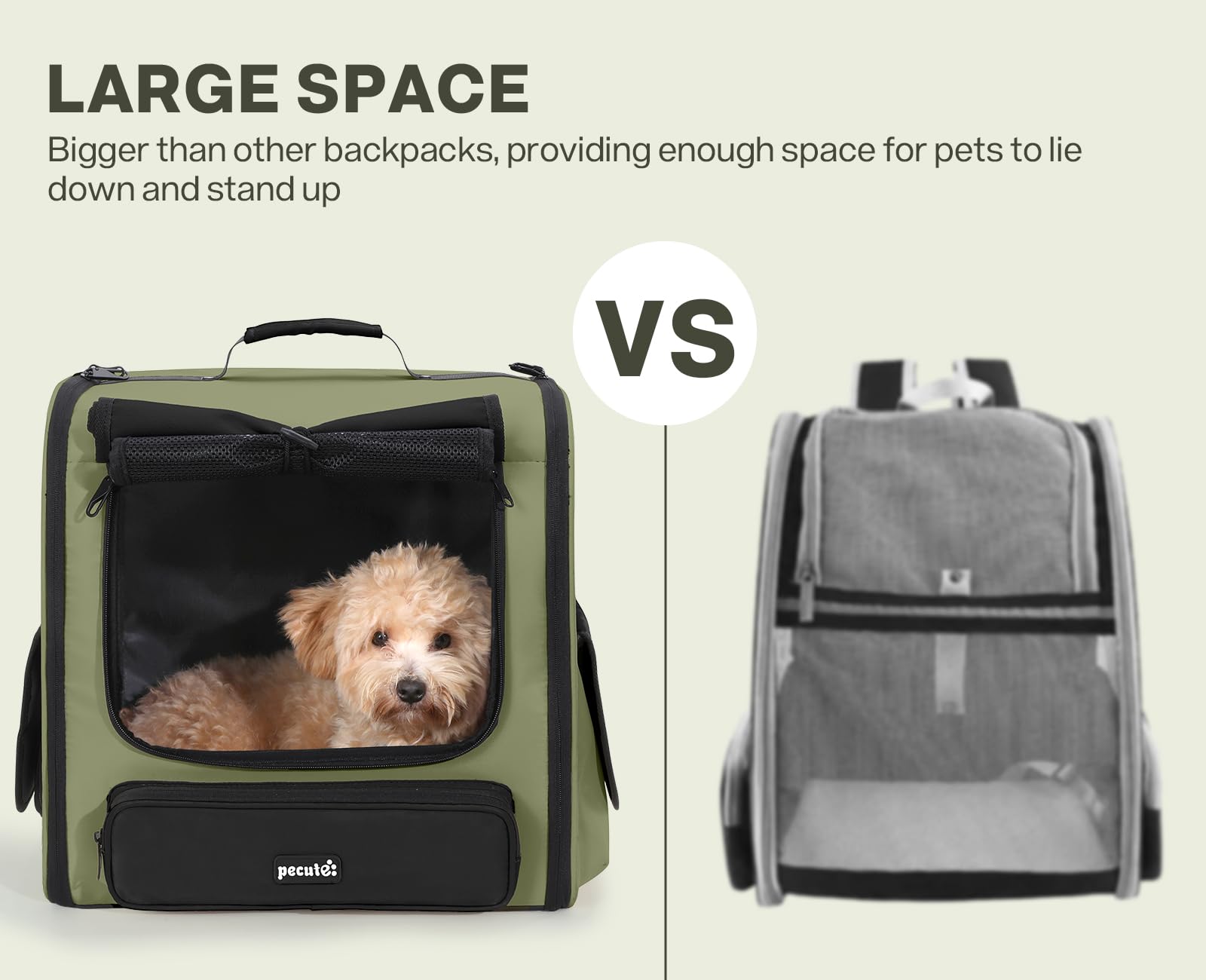 Pecute ventilation-windows highlight breathable airflow for calm travel.