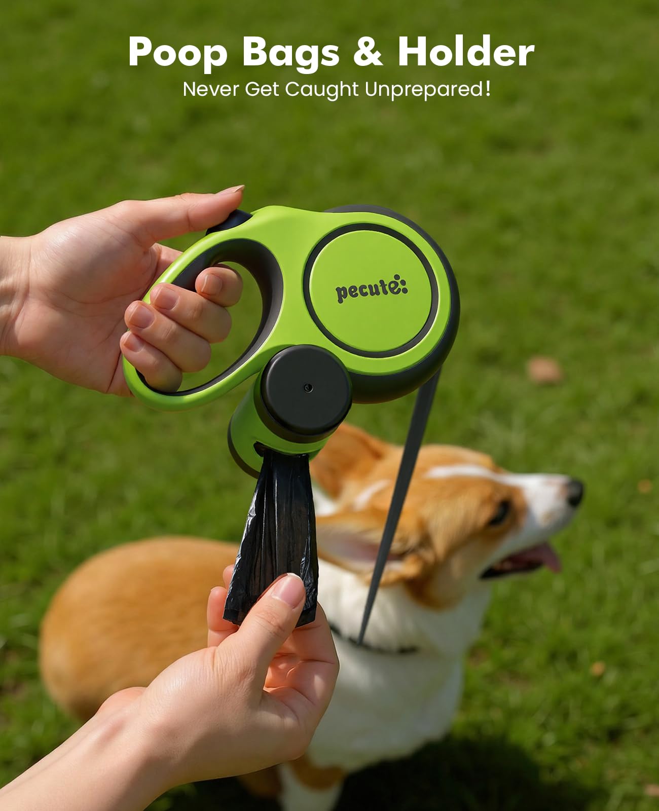 Pecute 360-degree swivel clip prevents tangles while dogs explore.