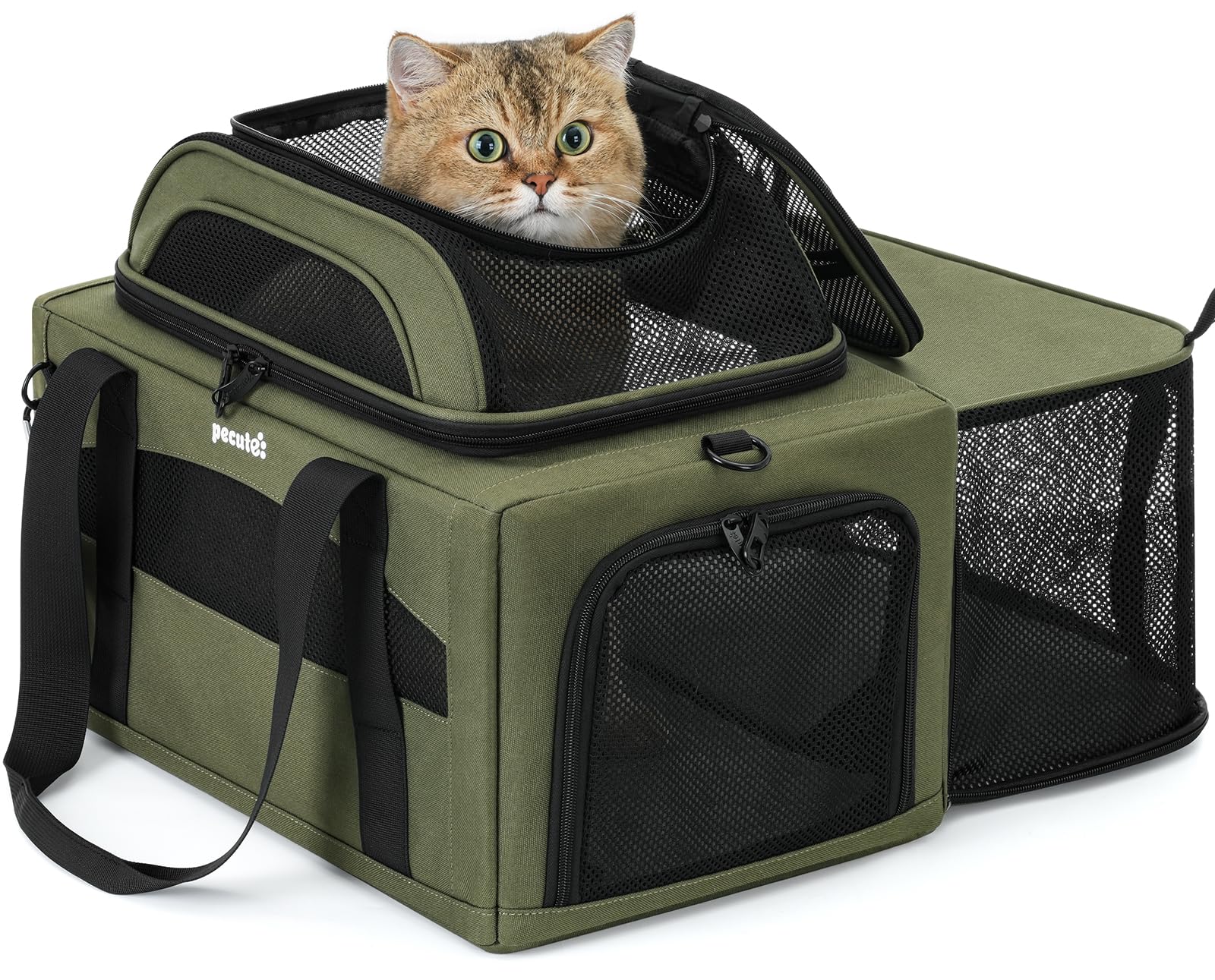 Pecute top expansion under-seat carrier enlarges pet space during flight