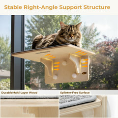 Pecute wall-mount option highlights flexible placement for permanent setup