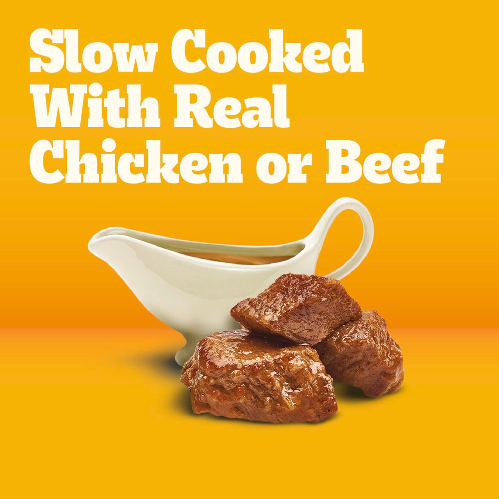 Pedigree Choice Cuts in Gravy served in a dog bowl with kibble
