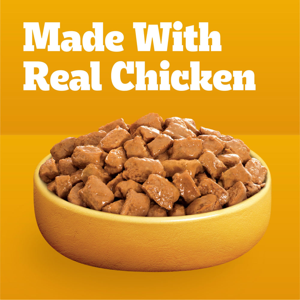 Pedigree Choice Cuts In Gravy shows soft, easy-to-chew texture for dogs.
