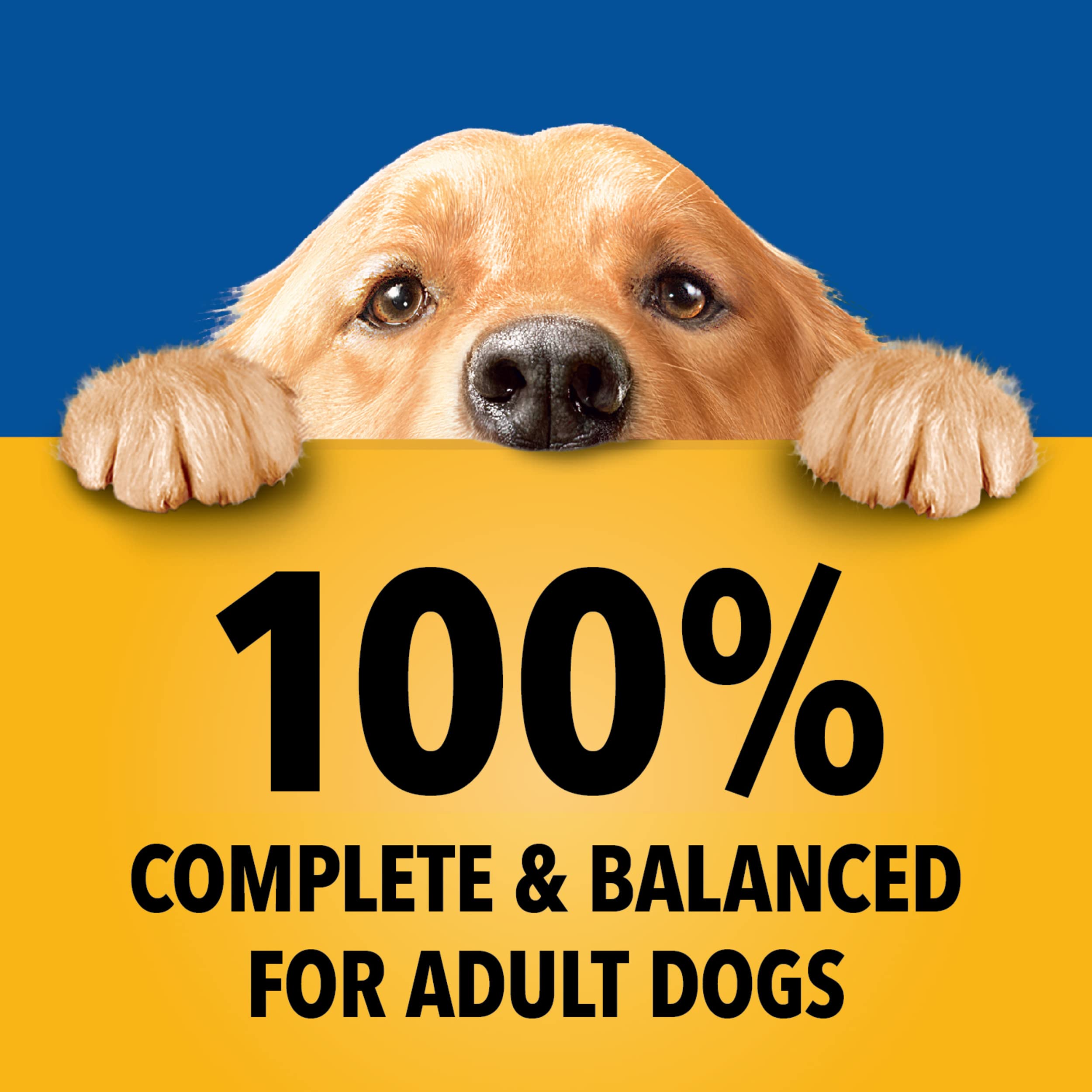 Pedigree chopped ground dinner 30-count pack for convenient sharing
