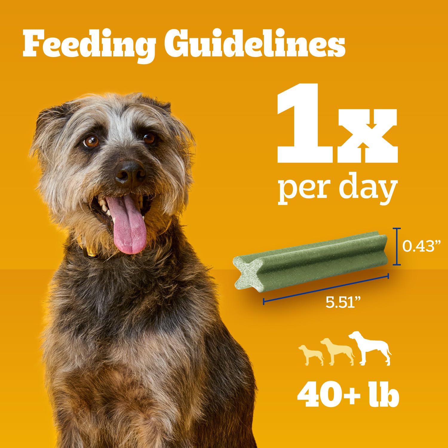 Pedigree Dentastix bright bag backview emphasizing daily dental care routine