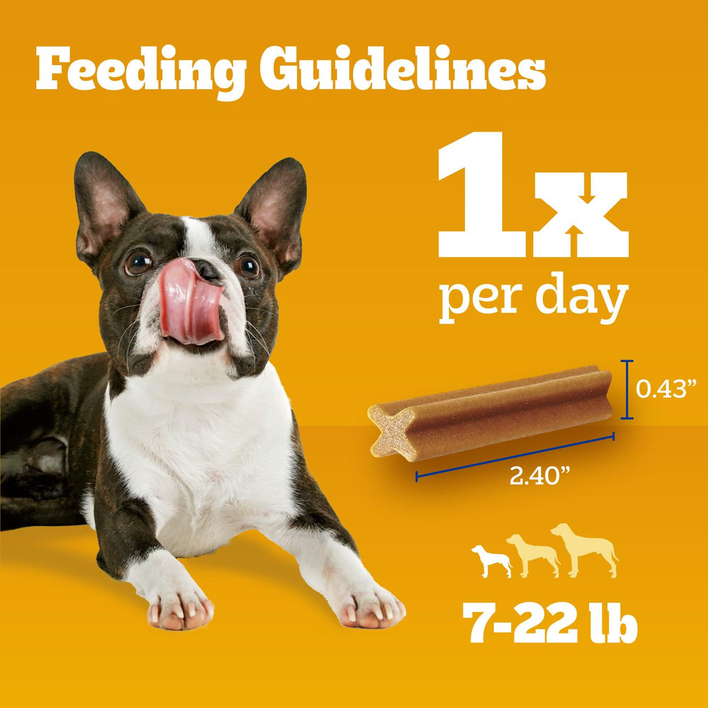 Pedigree Dentastix daily care routine for small dogs in action
