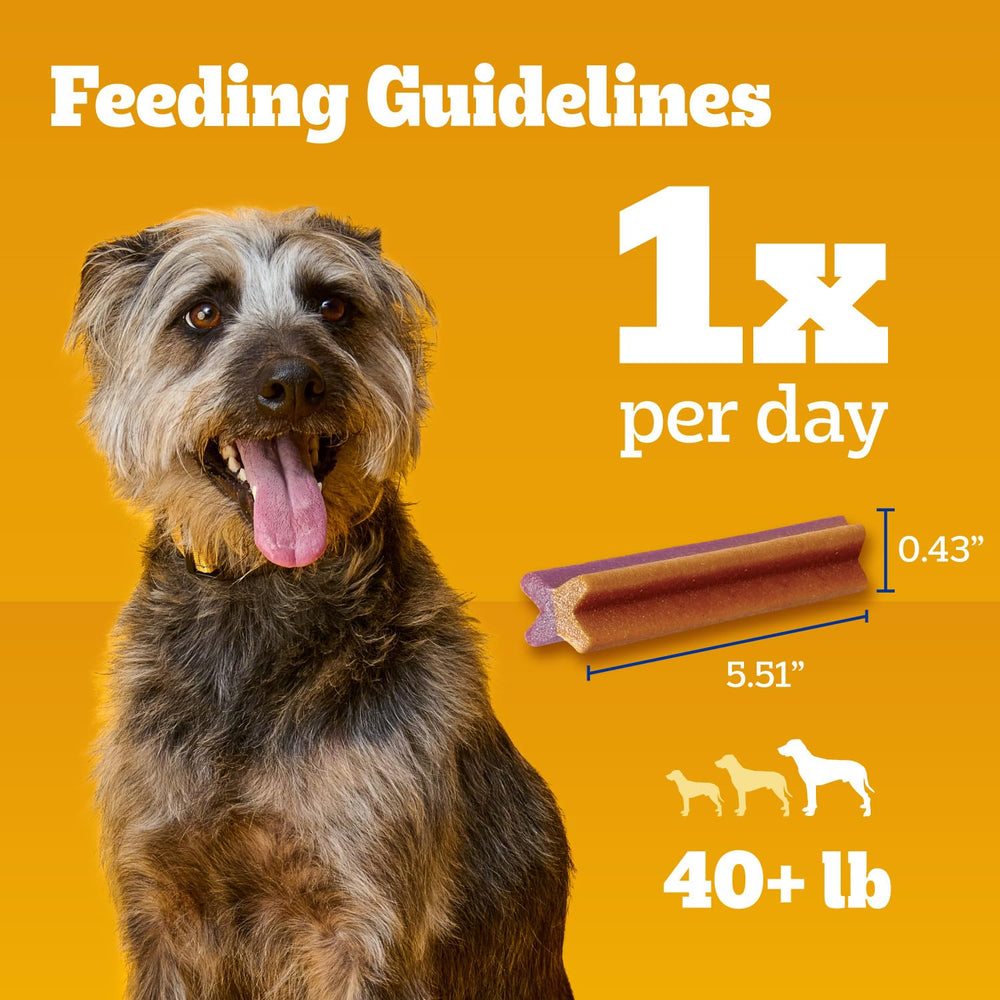 Dog chewing Dentastix to illustrate engaging dental care moment