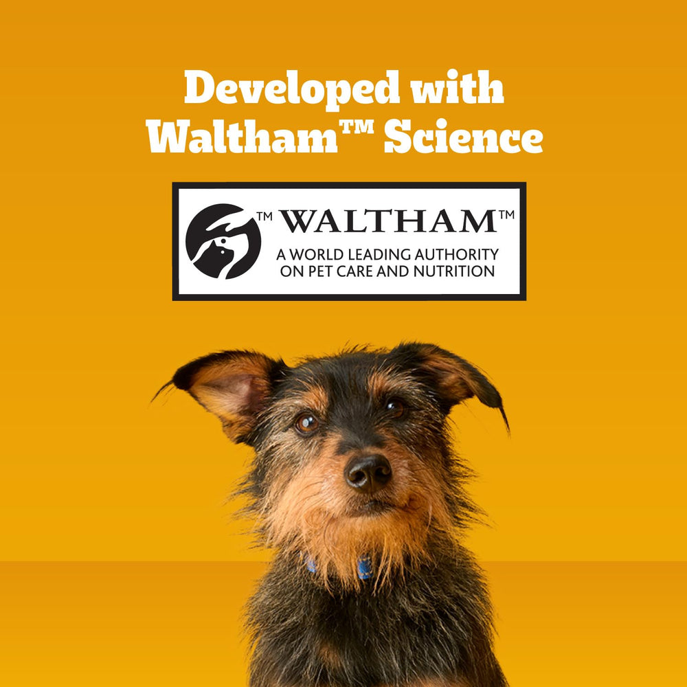 Pedigree Dentastix small-breed formula for 7–22 lb dogs.