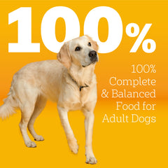 Pedigree dry dog food with grilled steak and vegetables served in a bowl