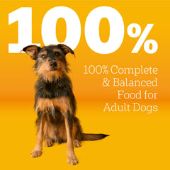 Pedigree Dry Dog Food serving bowl during mealtime