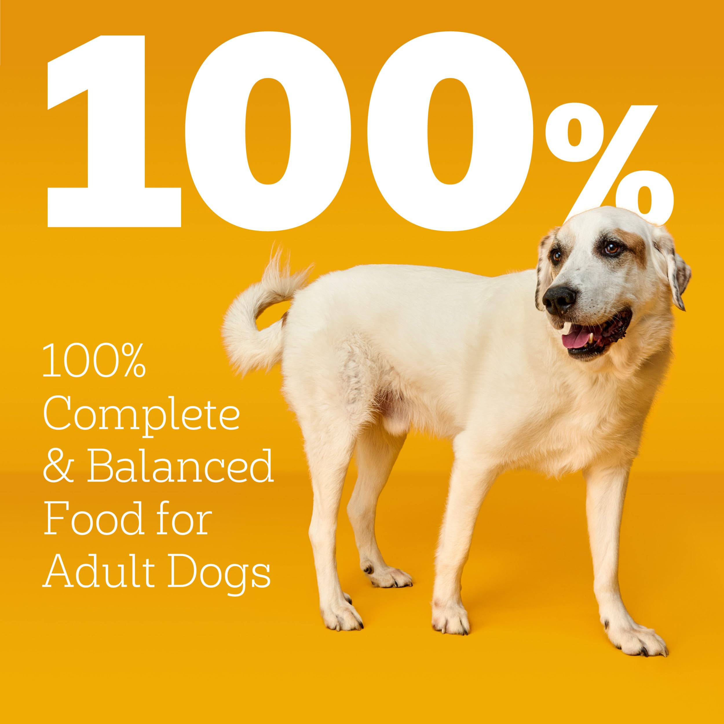 Pedigree Large Breed bowl with kibble, rice and vegetables for a balanced meal