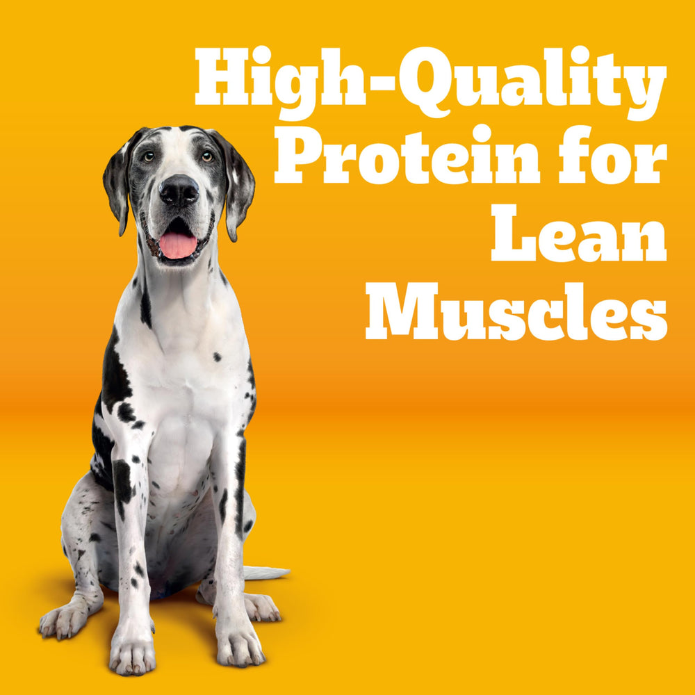 Pedigree Large Breed kibble close-up highlighting natural ingredients