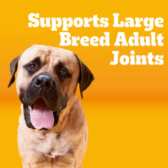Pedigree Large Breed kibble supports lean muscles with quality protein