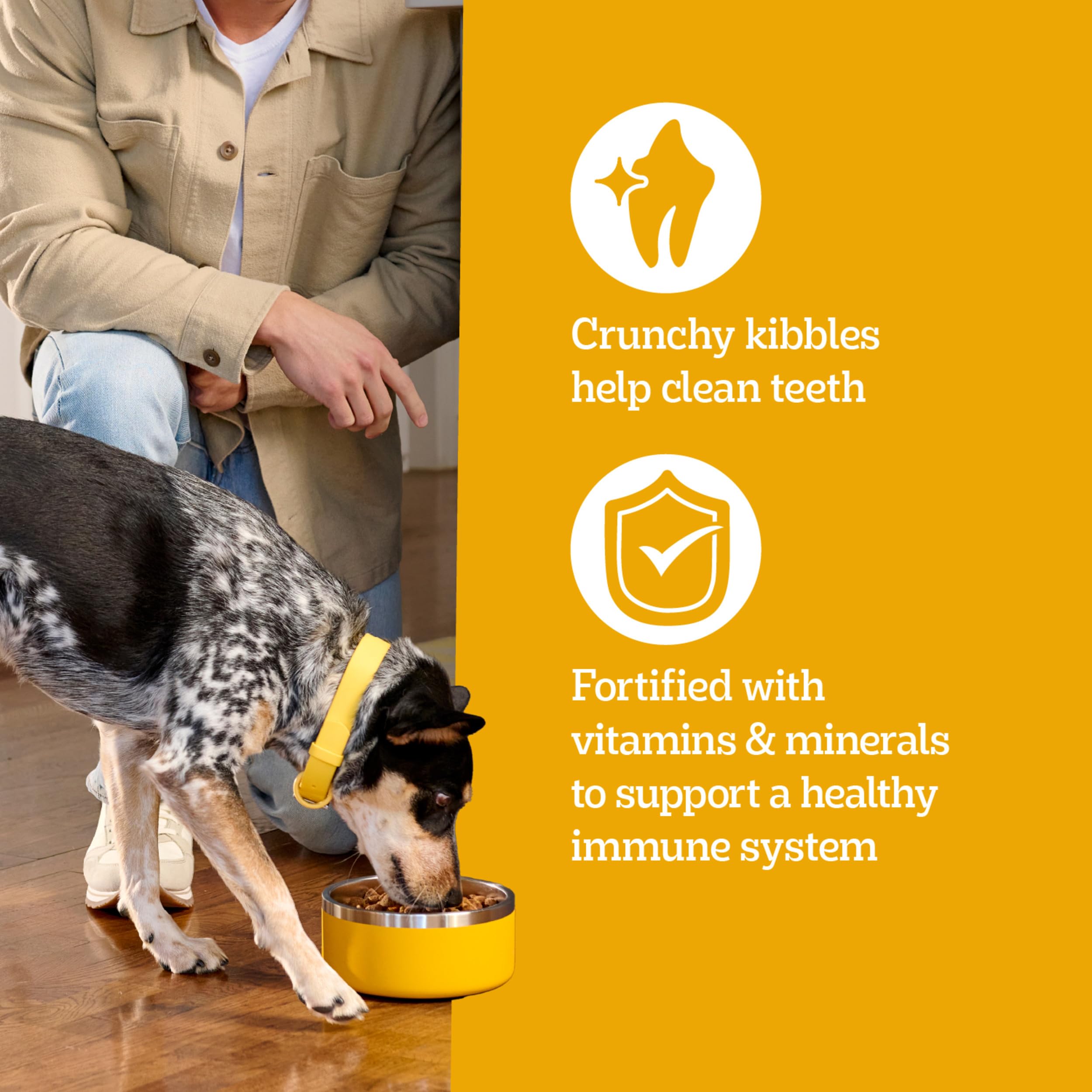 Pedigree Large Breed kibble with omega-6 and zinc for skin and coat