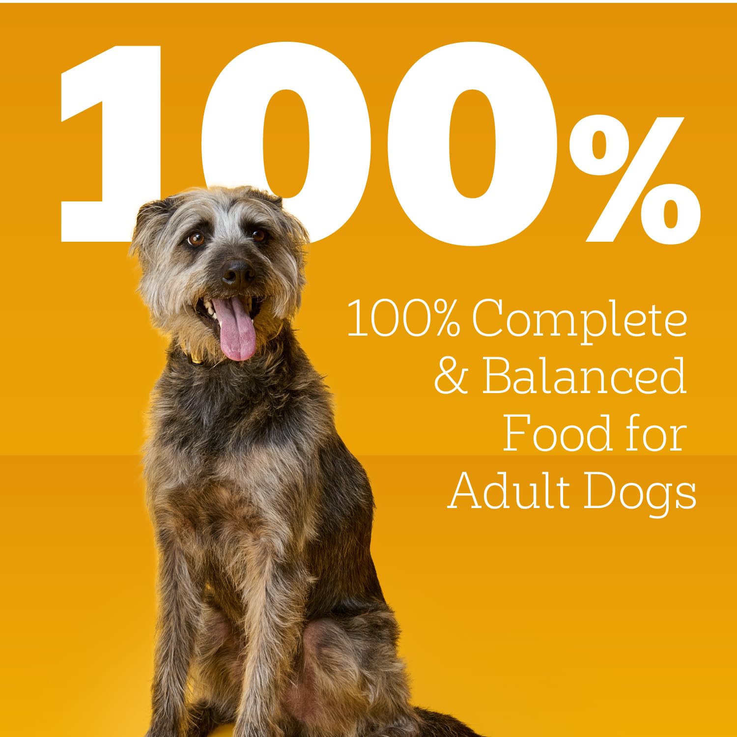 Pedigree Wet Dog Food Gravy promotes hydration through high moisture content.