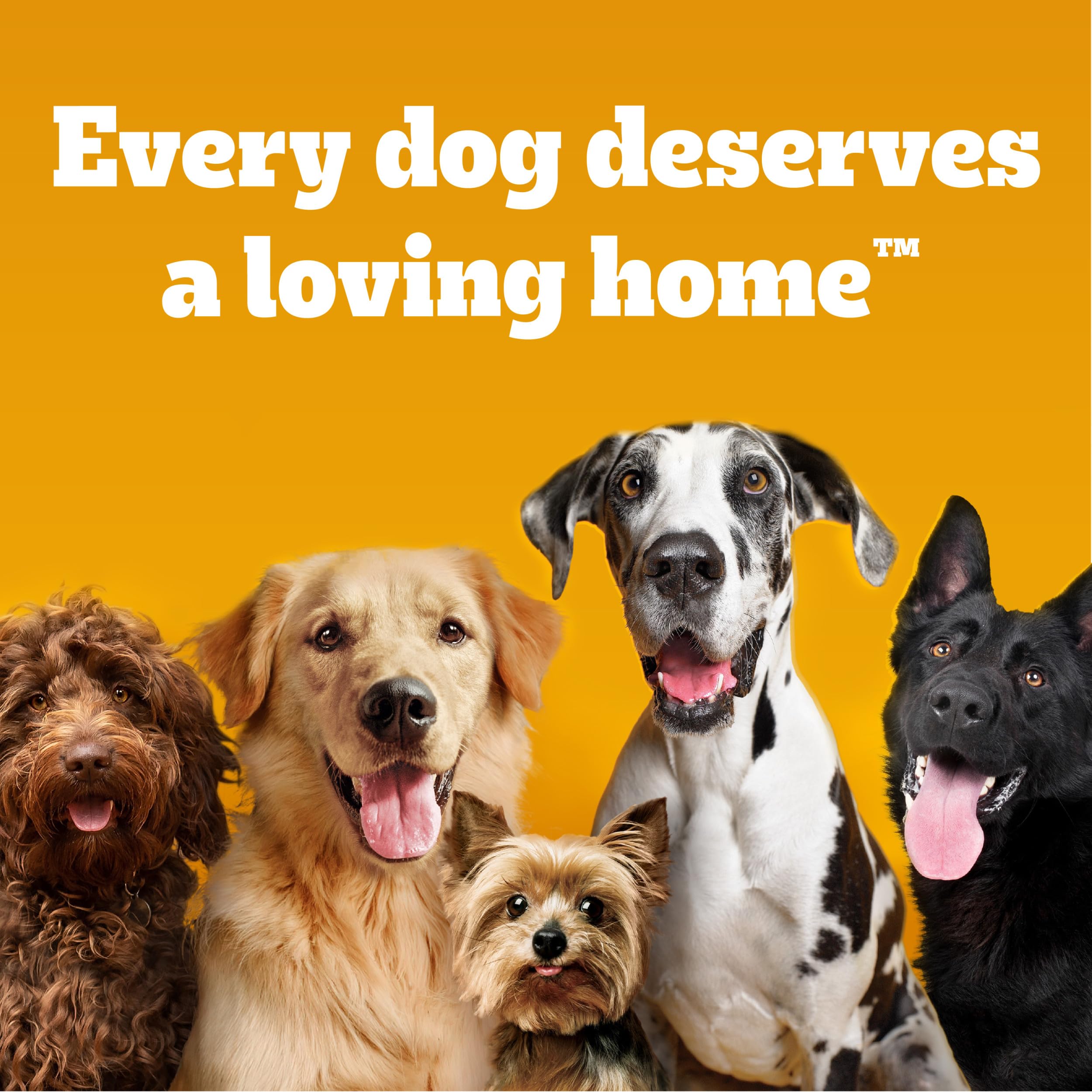 Pedigree Drizzlers serving plan image suggests versatile mealtime use.
