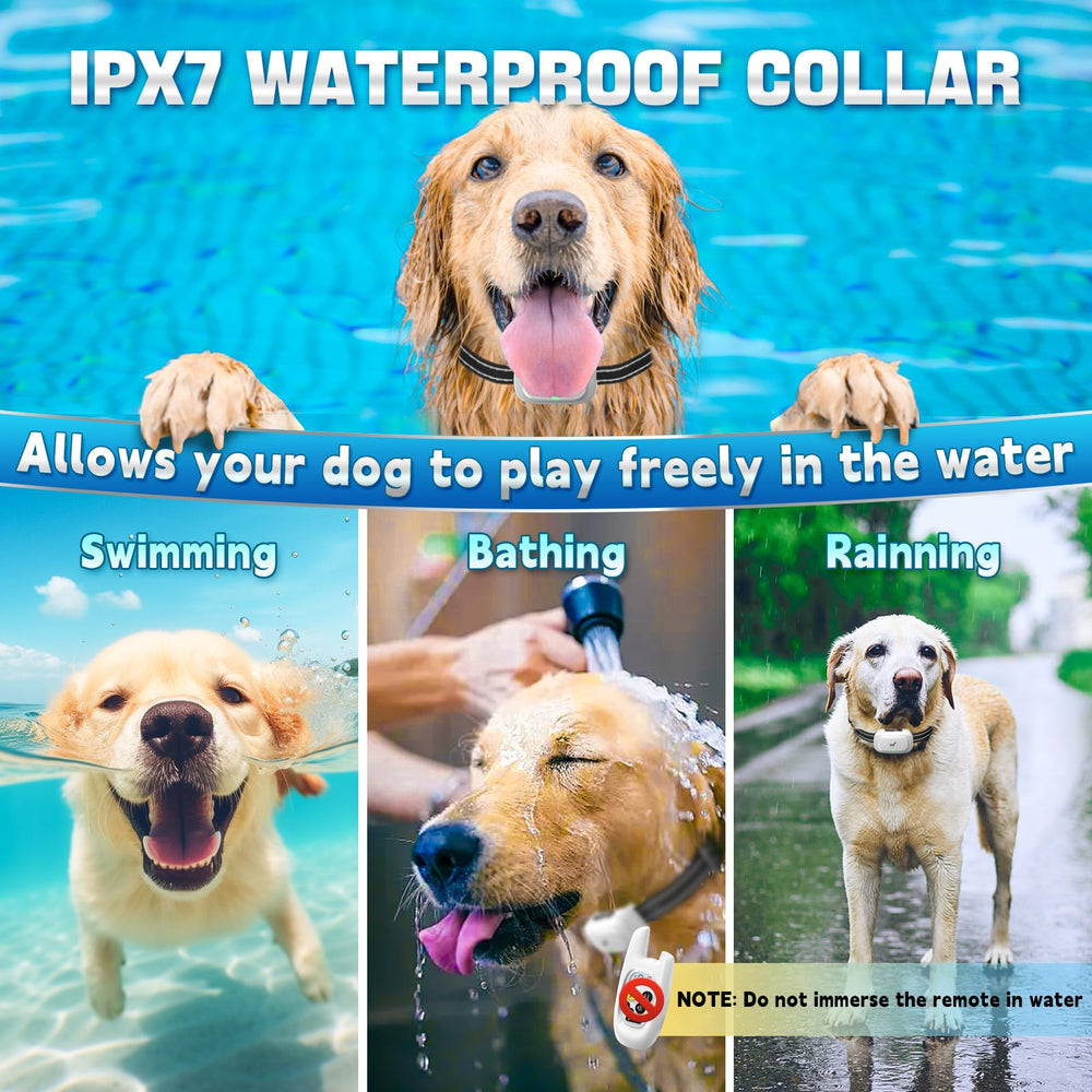 Pedono adjustable collar fits 8 to 24 inches comfortably.