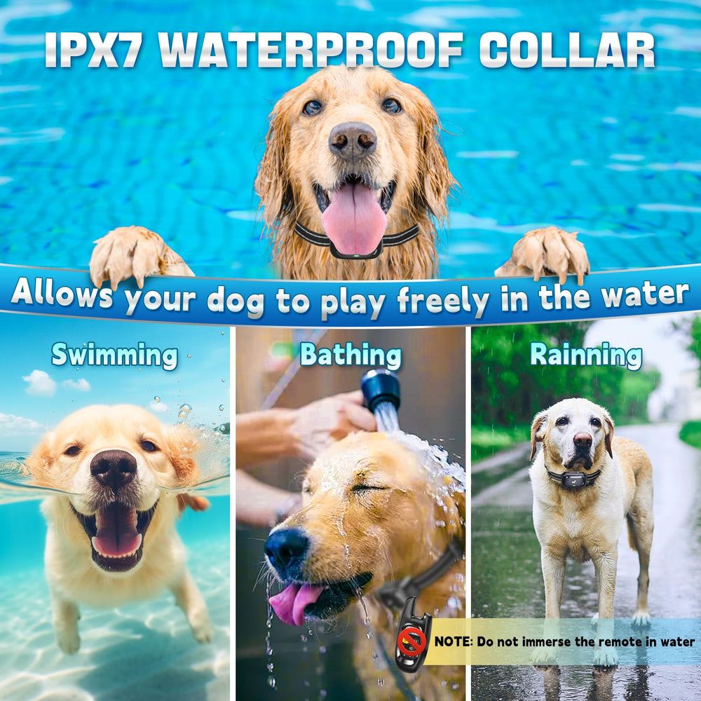Pedono adjustable collar 8 to 24 inches fits many dogs comfortably