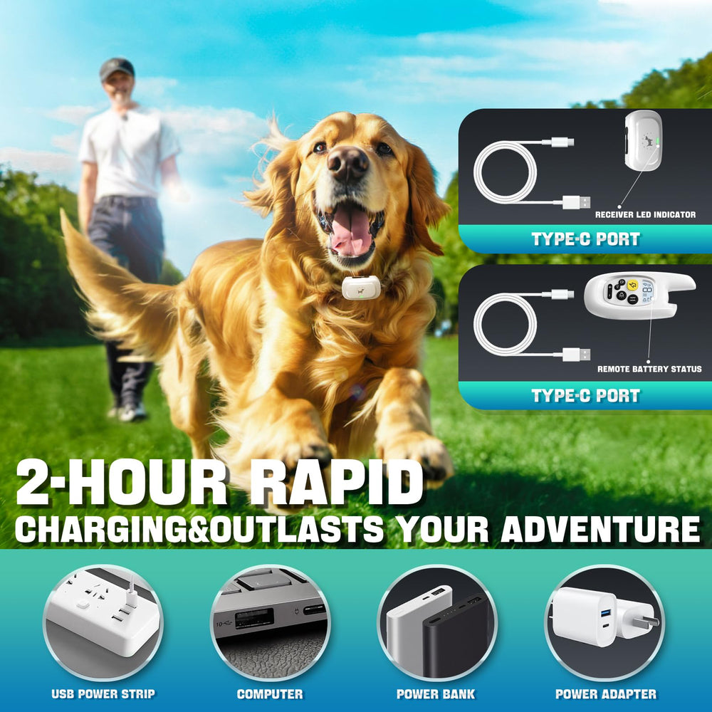 Pedono training modes Beep, Vibration, and Safe Shock for flexible training.