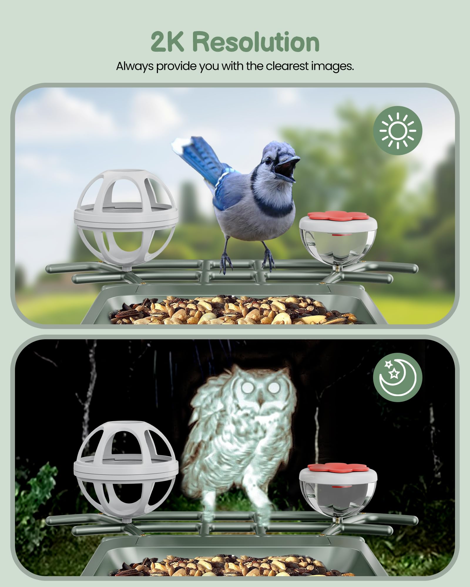 PEEIPM Food and Water Bowl Bird Feeder supports tailored feeding.