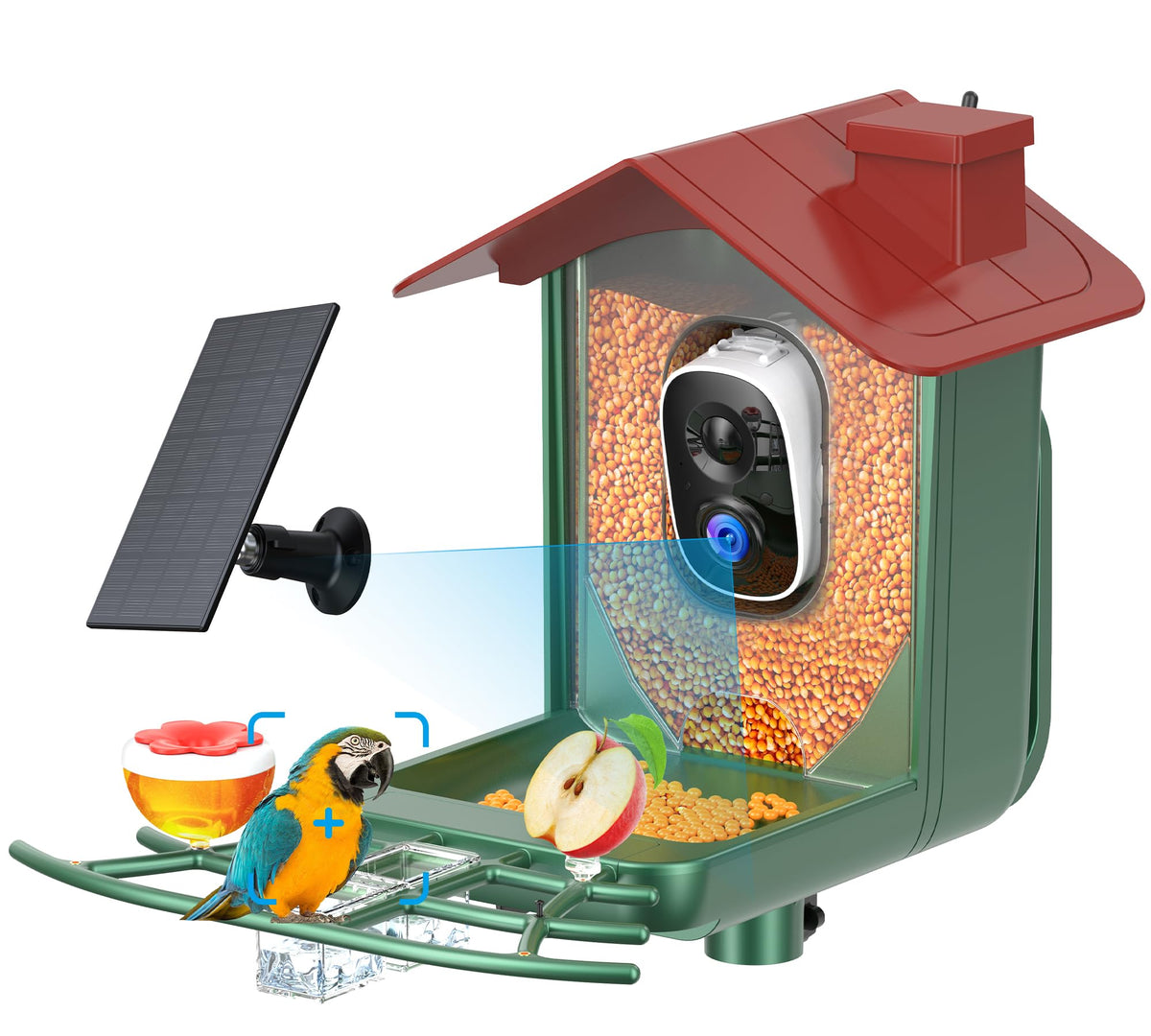 PEEIPM Smart Bird Feeder Camera 2K HD captures vivid birds in your garden.