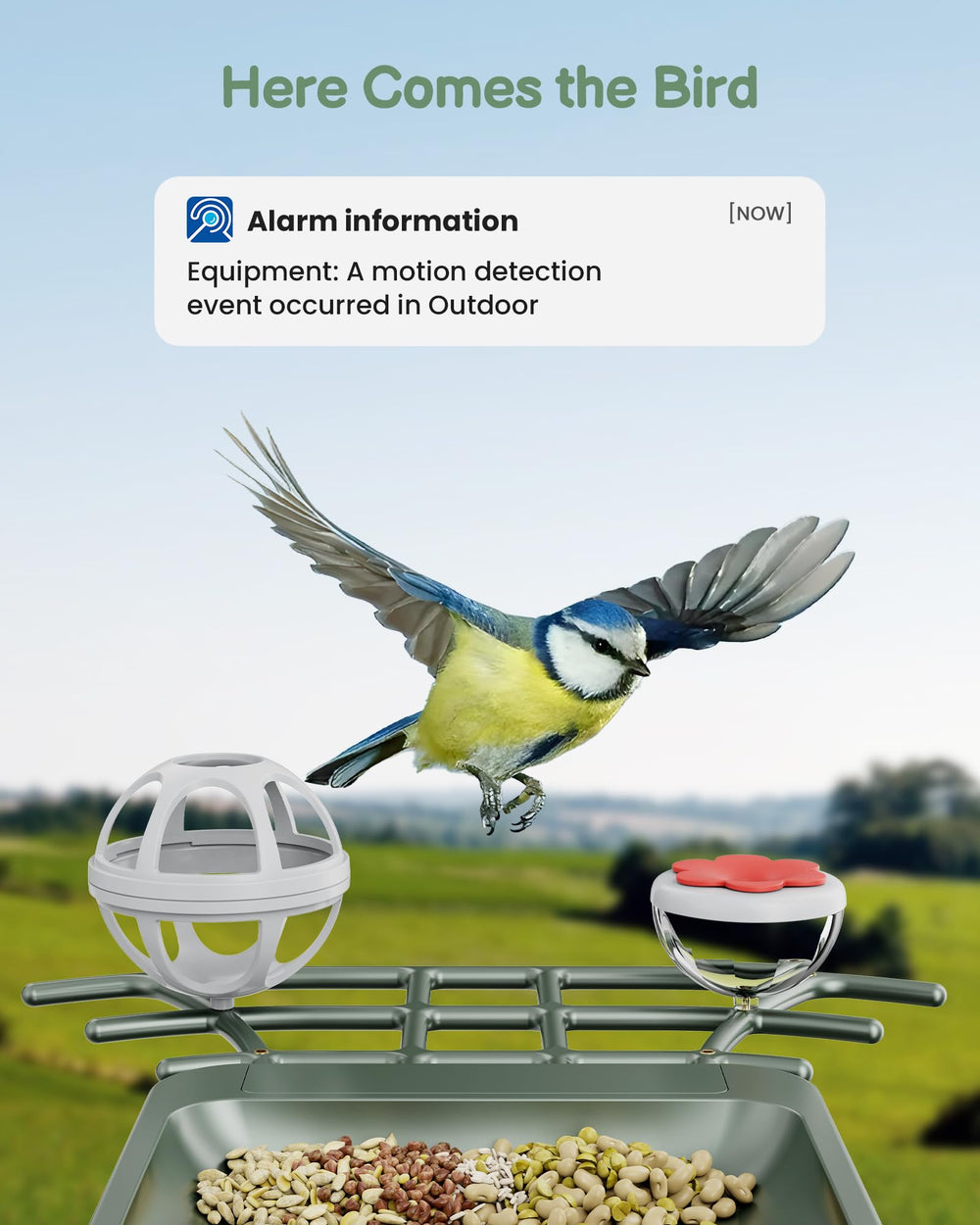 PEEIPM Solar-powered Bird Feeder Outdoor ensures eco-friendly, dependable operation.