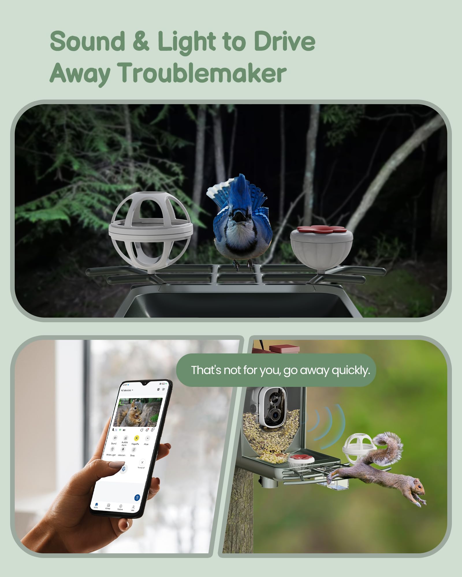 PEEIPM Squirrel-proof Bird Feeder reduces unwanted visits while feeding favorites.