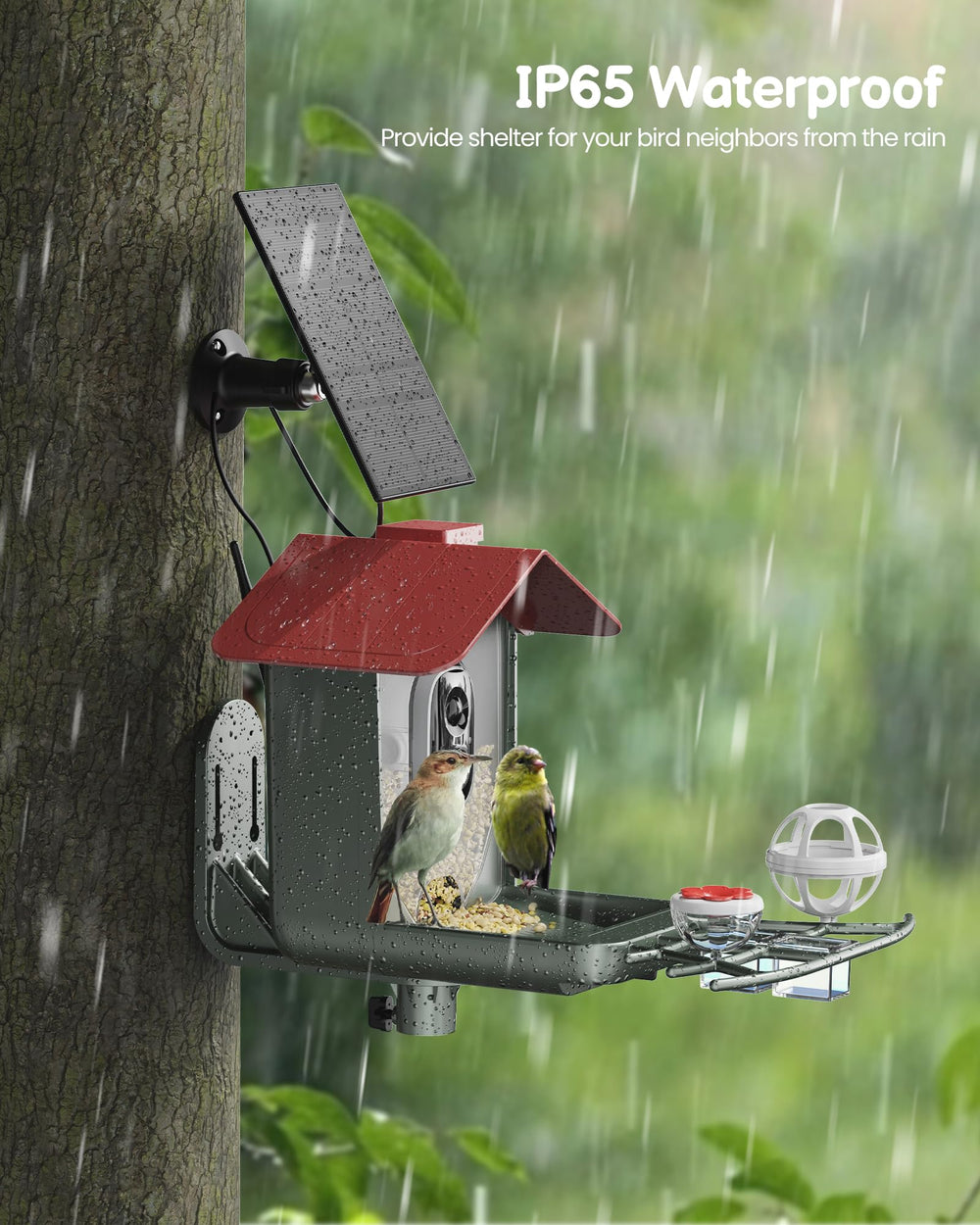 PEEIPM Two-way Audio Bird Feeder lets you listen and interact.