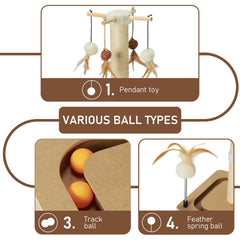 Peekab cat track-ball toys engage playful kittens during exploration.