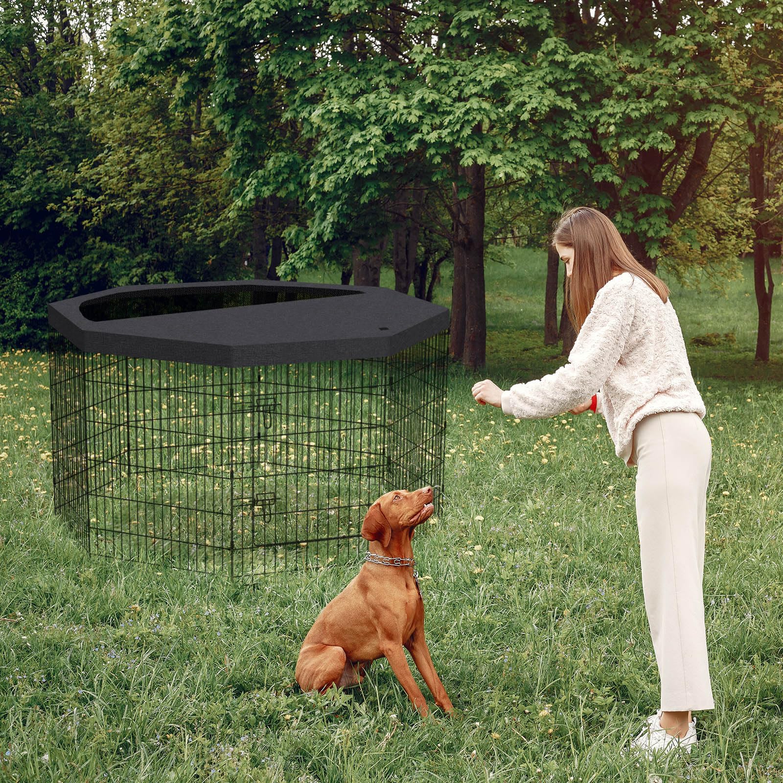 Peekaboo dog fence eight-panel setup with no tools needed for quick use
