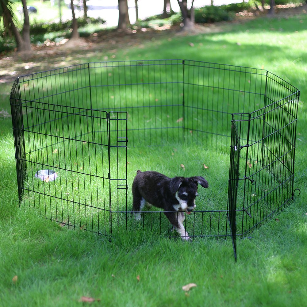 Peekaboo dog pen folds flat for easy transport.