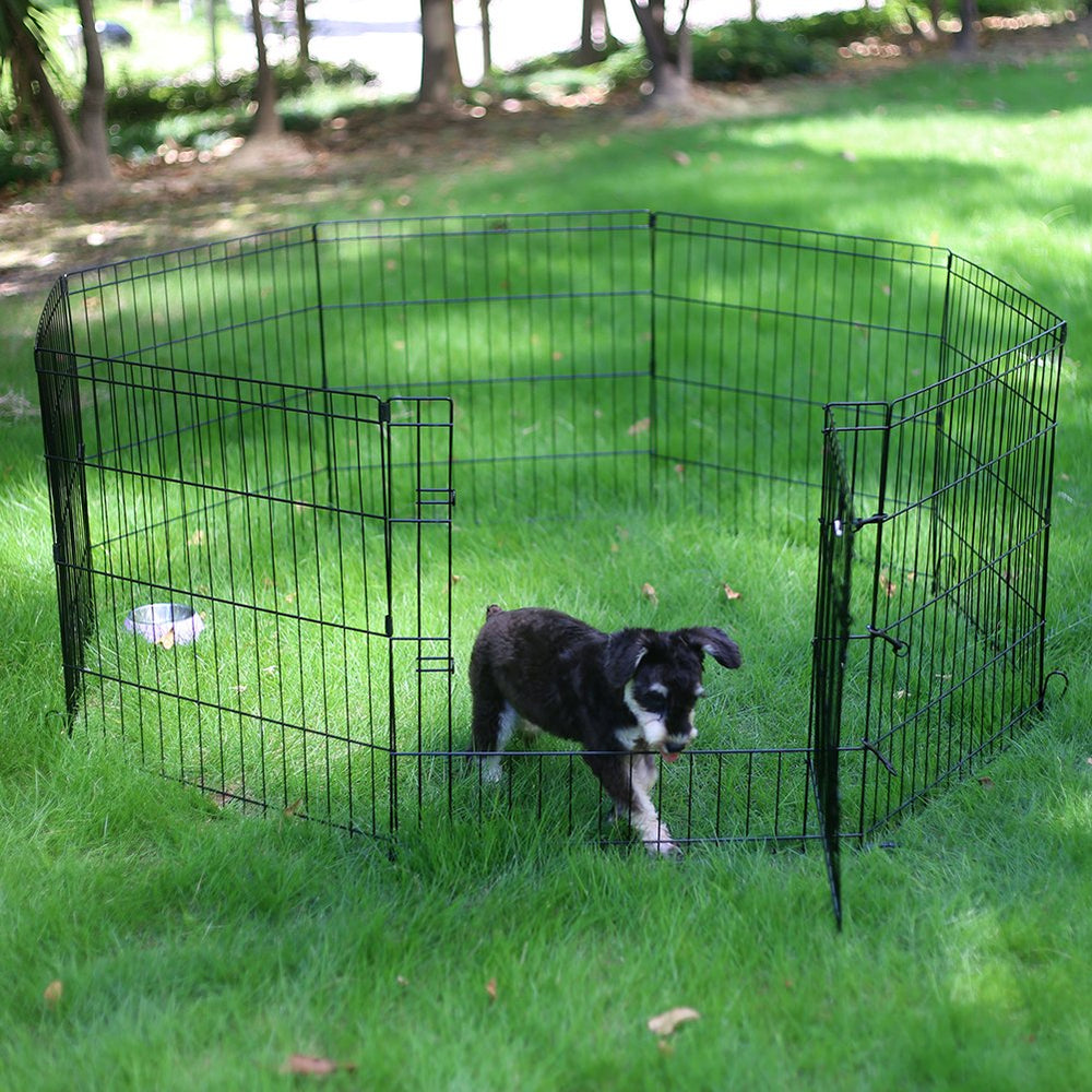 Peekaboo dog pen folds flat for easy transport.