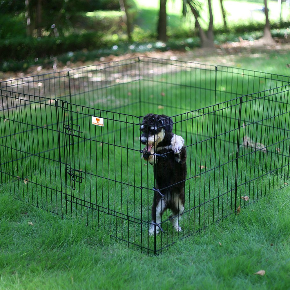 Peekaboo dog pen used indoors to create a versatile play area.
