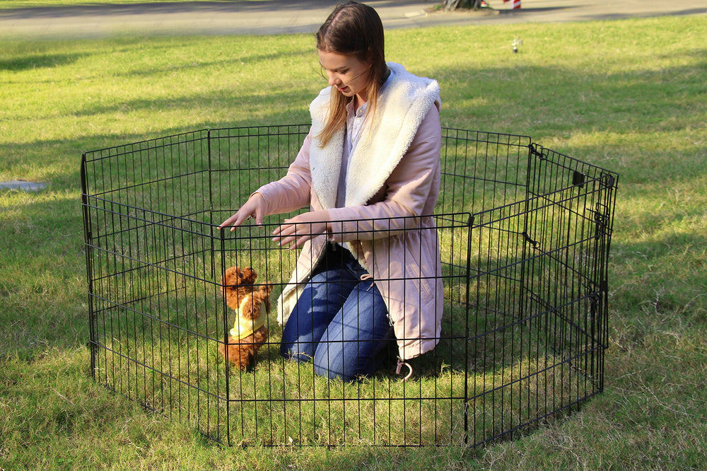 Peekaboo dog pen outdoors as a safe play yard.