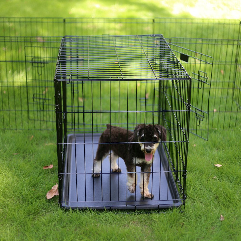 Peekaboo dog pen acts as a barrier at doorways.