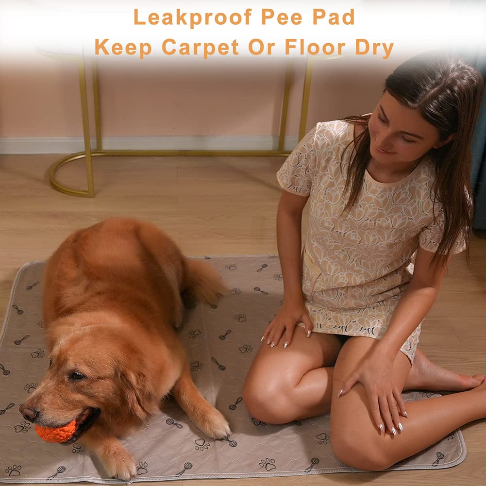 Peepeego pad in a puppy playpen setup for training