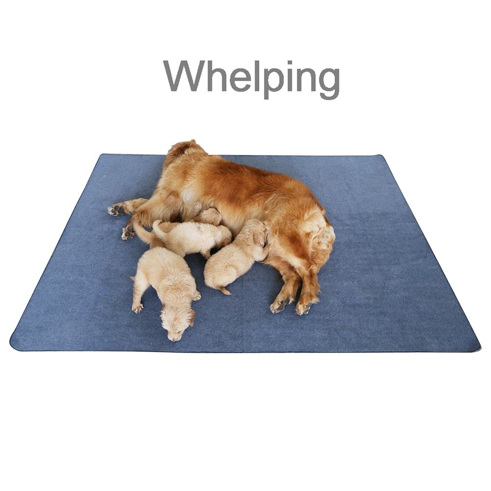 Peepeego whelping pad ideal for whelping boxes and training.