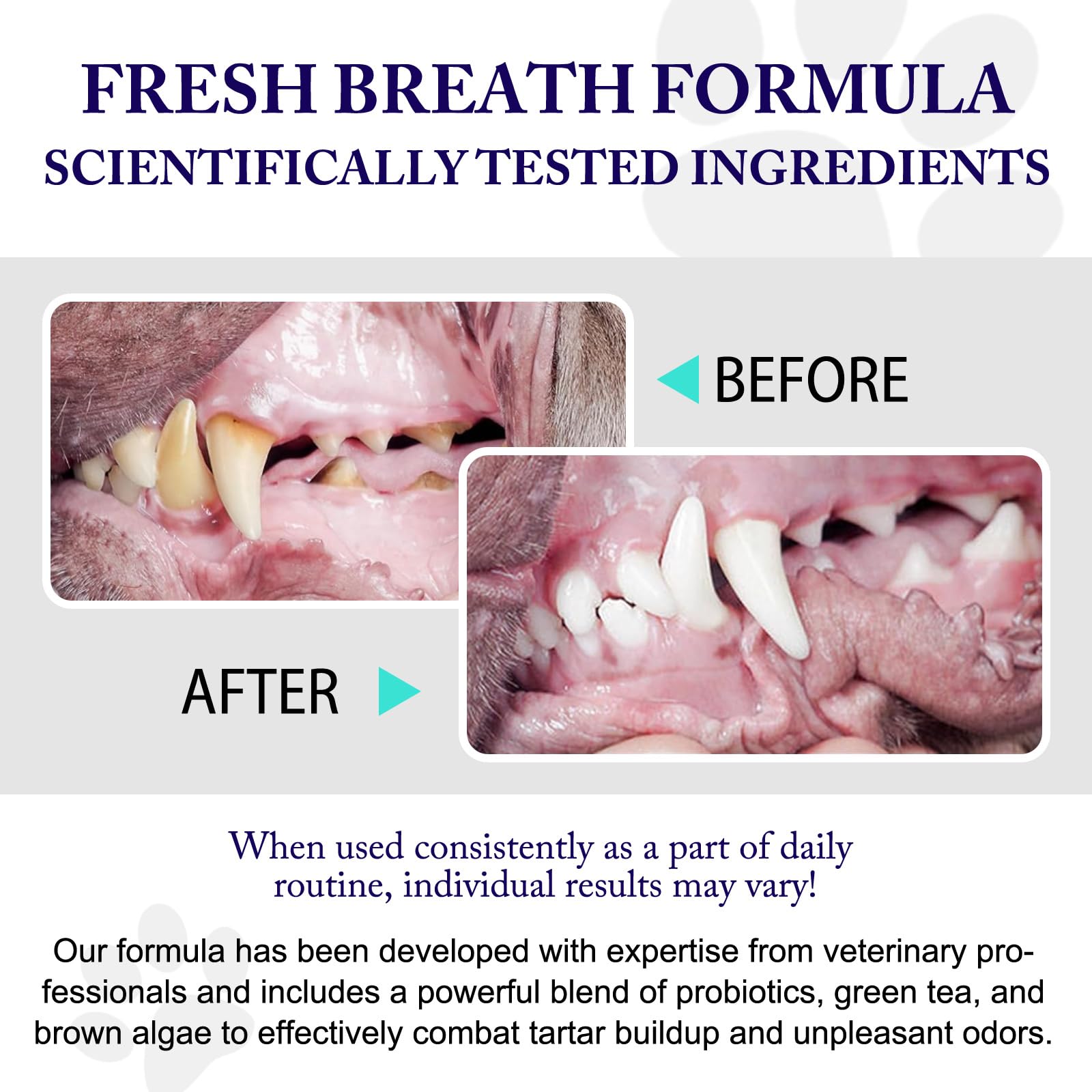 Peesnb dog teeth cleaning powder bottle shown for convenient daily dental care.