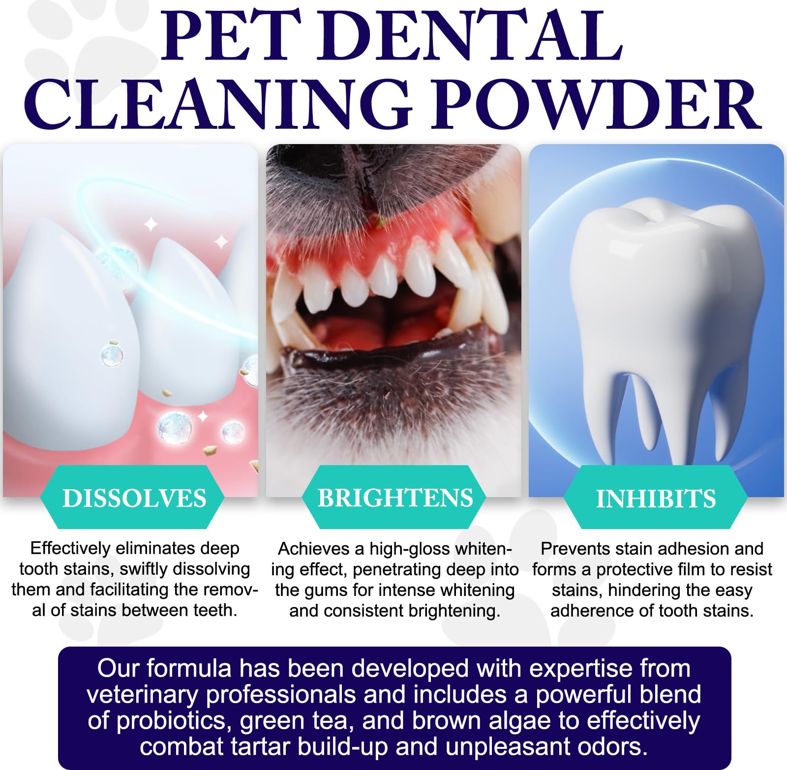 Peesnb probiotic dog dental powder with spoon for measured doses.