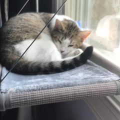 PEFUNY Cat Window Hammock suction cups provide secure hold for multi-cat homes.